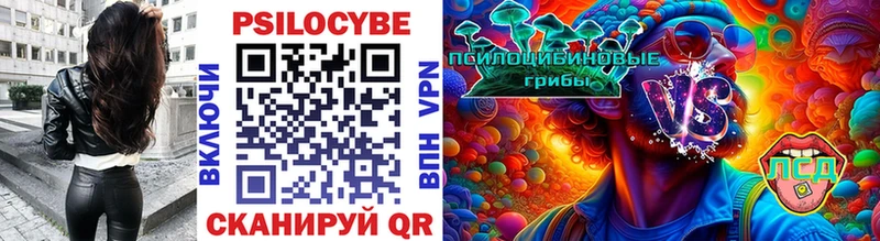 где купить наркотик  Краснослободск  Псилоцибиновые грибы Magic Shrooms 
